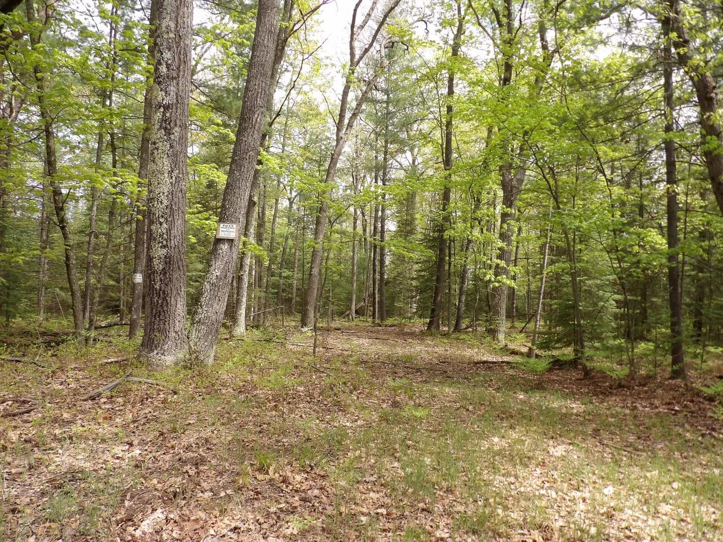 Vacant Land in St. Helen - Michigan, 48656