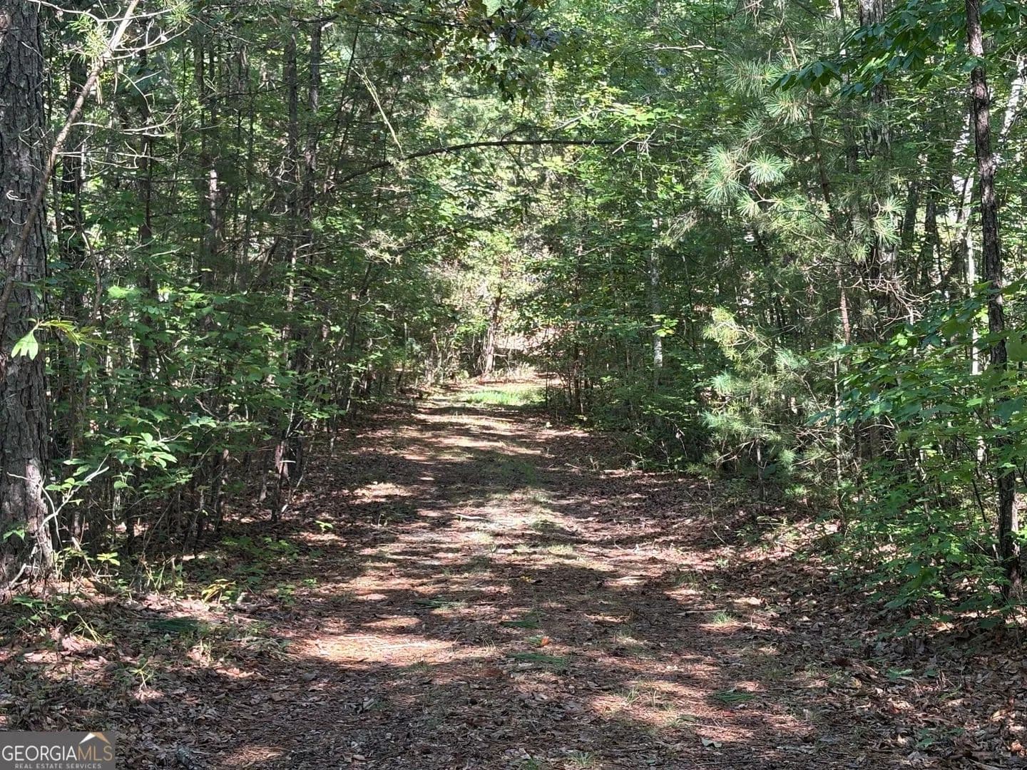 Lots & Land-Other in Ellijay - Ellijay, Georgia, 30540