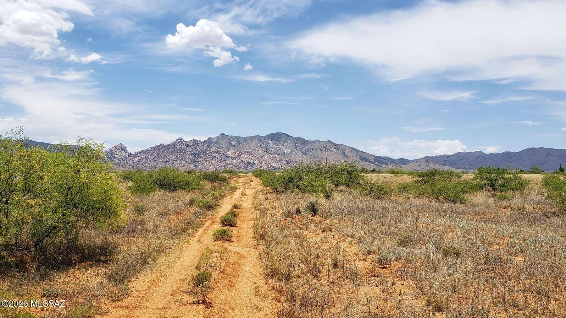 Property from 1 Lot W Euclid Street #19 - KW - Pearce, Arizona, 85625