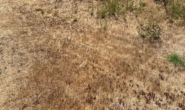 Vacant Land in Lancaster - Lancaster, California, 93535