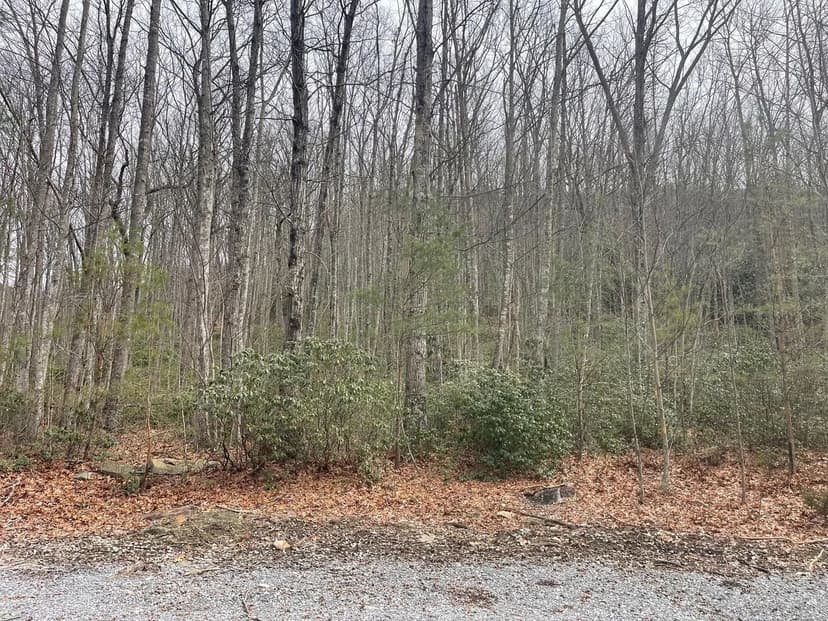 Lots & Land-Other in Middlesboro