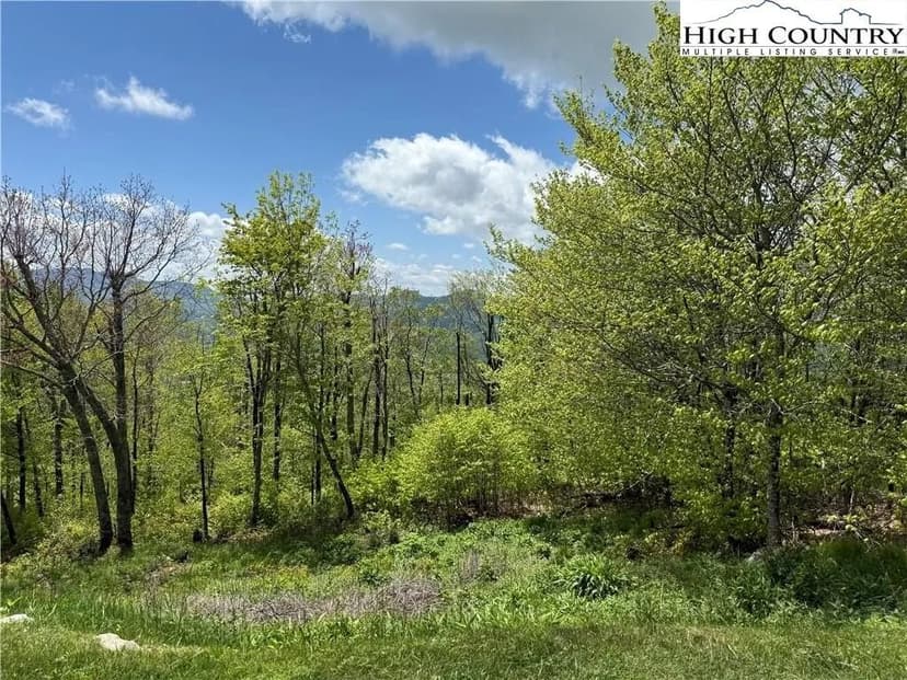 Lots & Land-Other in Beech Mountain