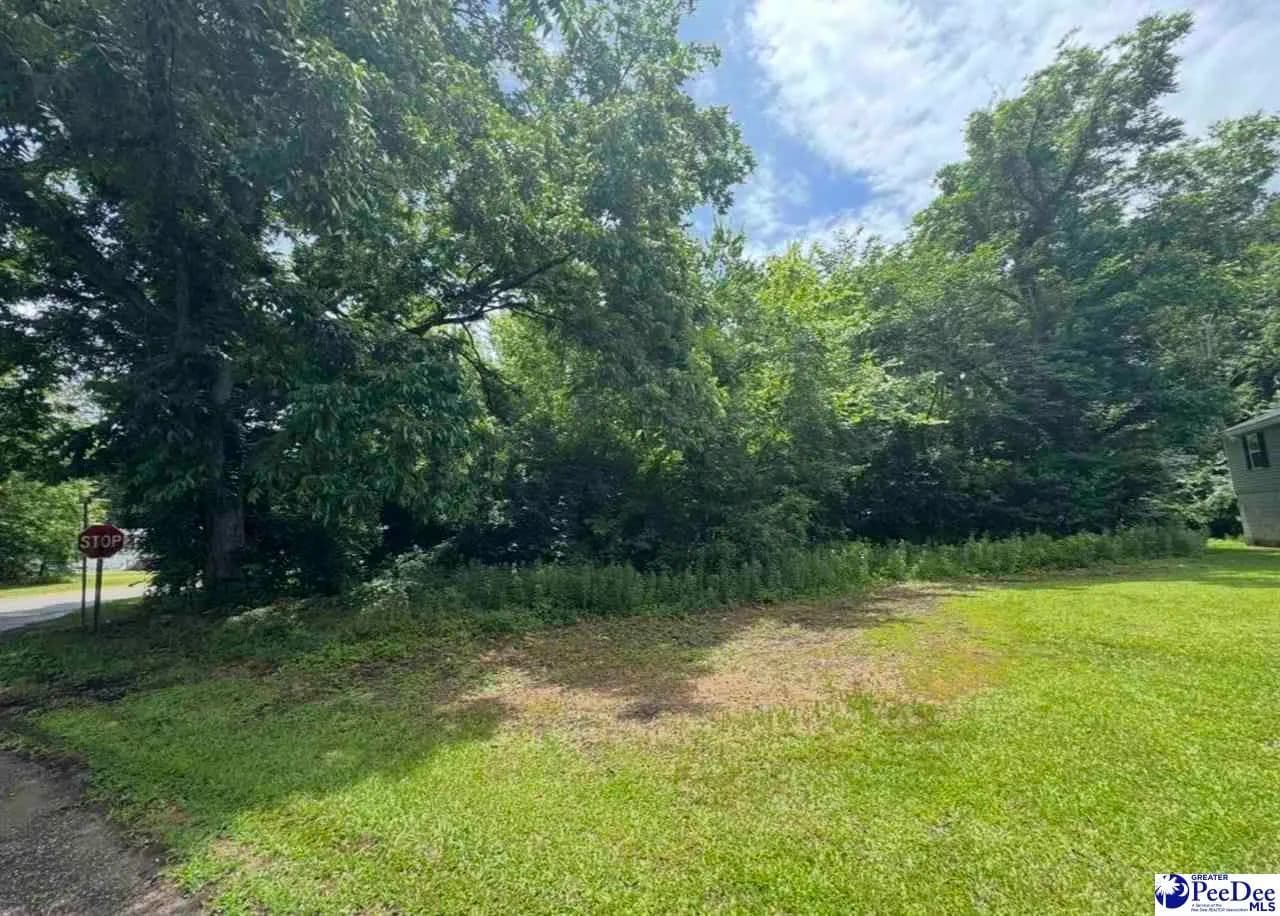 0.16 Acres of Land for Sale in Sellers, South Carolina - Sellers, South Carolina, 29592