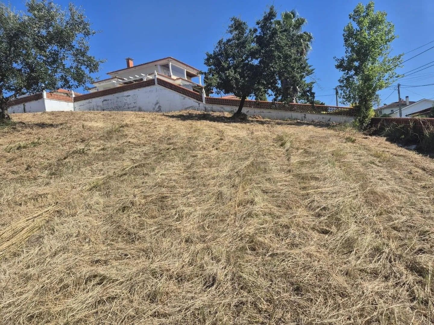 800.95 Acres of Land for Sale in Santa Clara e Castelo Viegas, Coimbra - land for sale