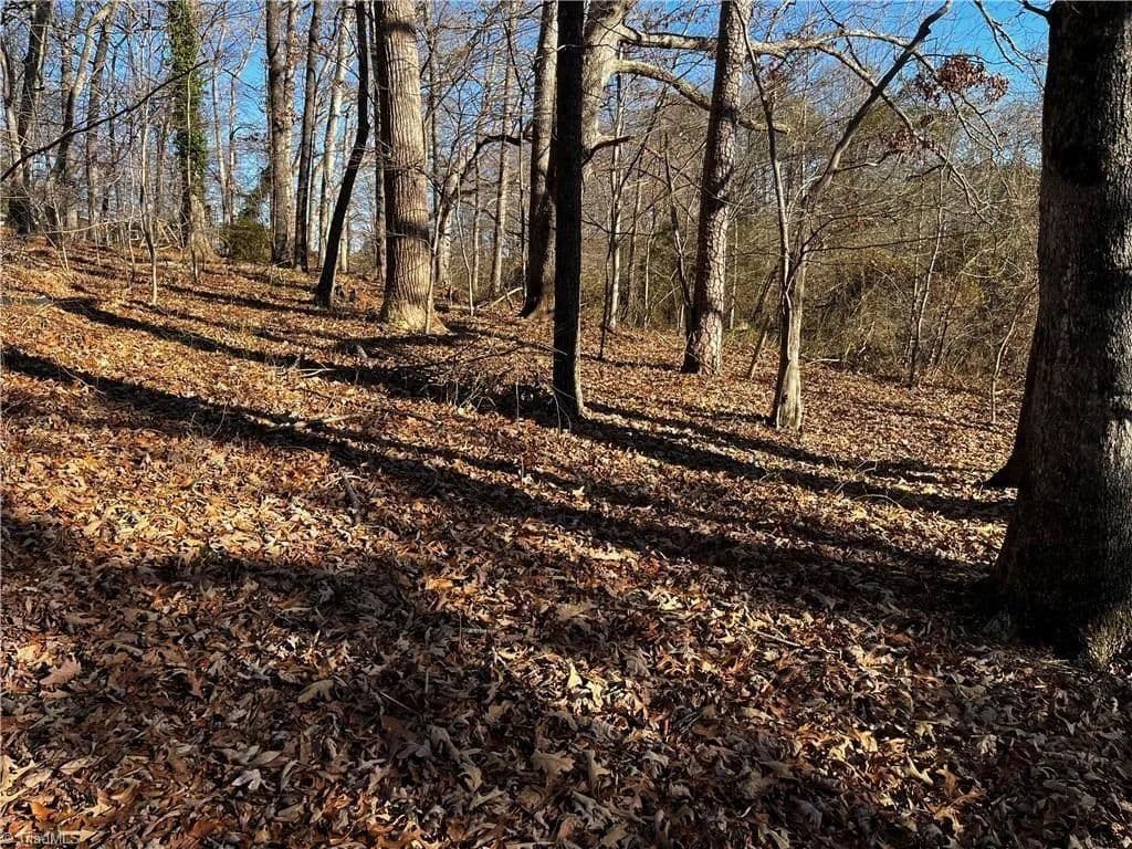Vacant Land in Cana - Cana, Virginia, 24317