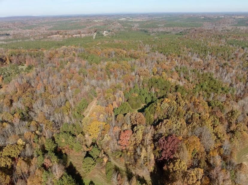 40± Acres of Prime Virginia Land for Sale in Pittsylvania County, VA!