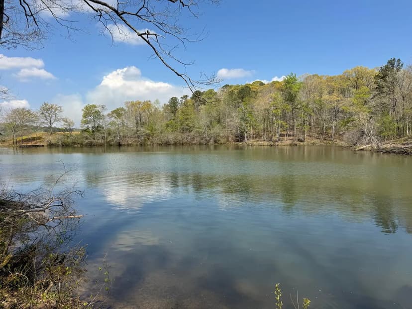 Stunning 1+/- Acre Lot on Yates Lake in Tallapoosa County