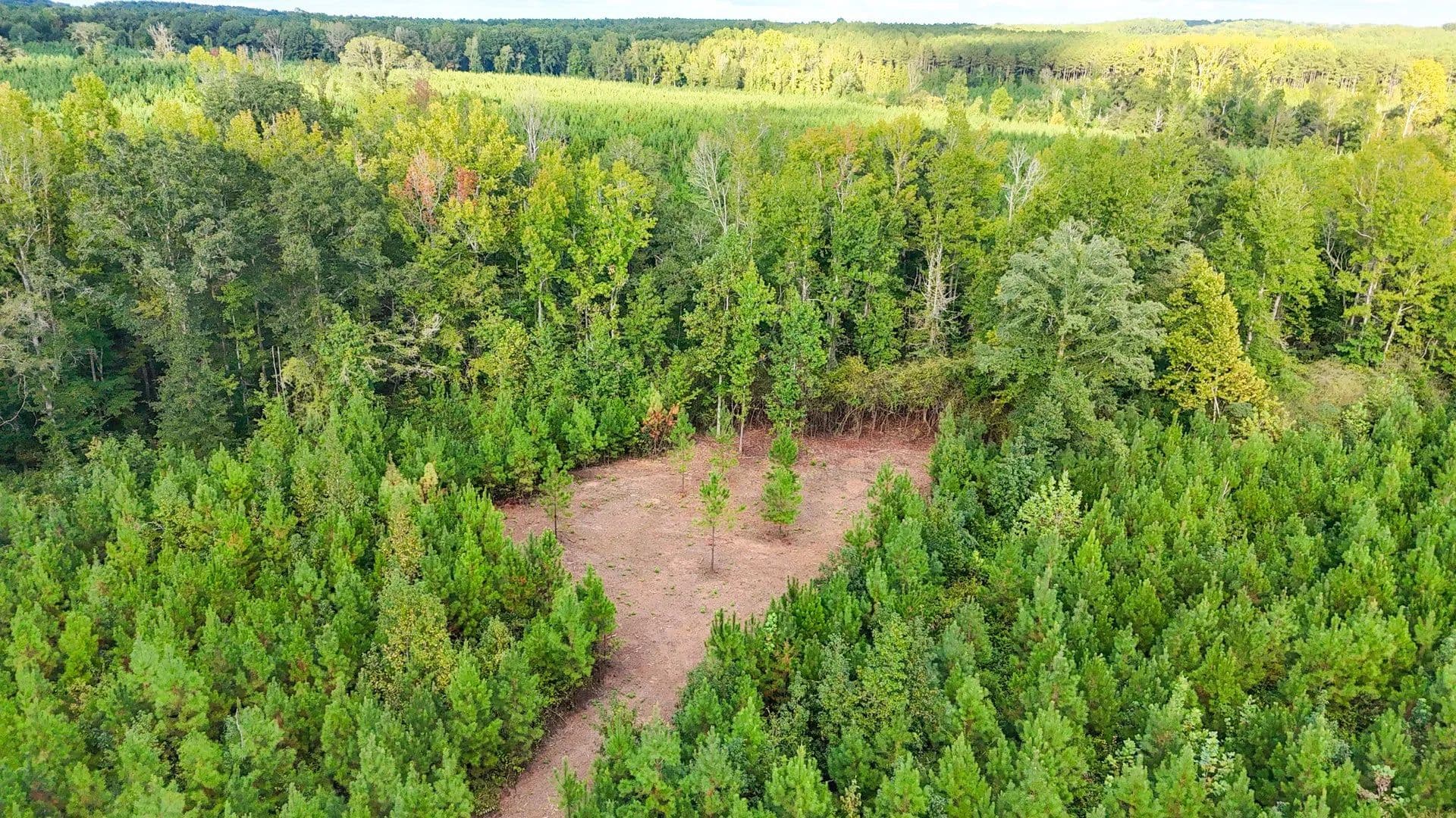 5 Acres in Chambers County – Private Homesite with Stream & Hardwoods - Lafayette, Alabama, 36862
