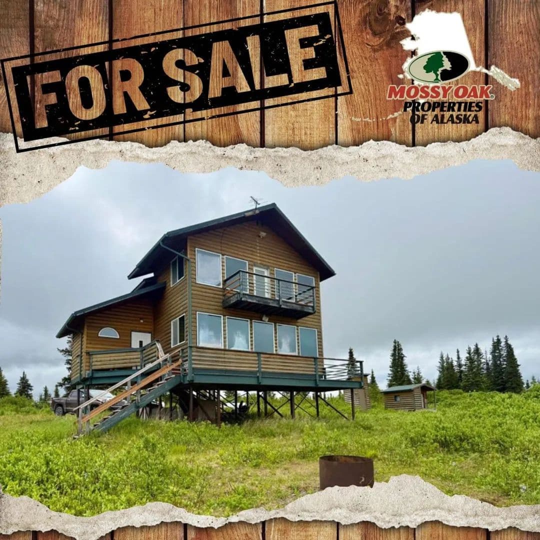 2 story hills cabin on road - land for sale