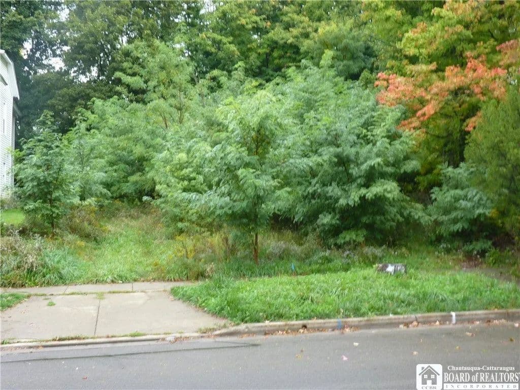 Lots & Land-Other in Jamestown - Jamestown, New York, 14701