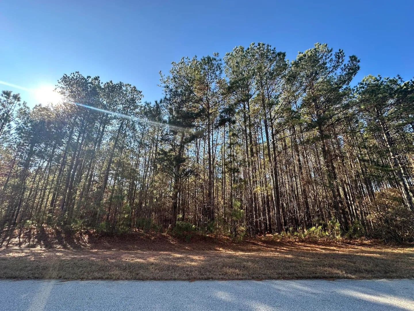 Property from 1252 Rogers Road - KW - Tignall, Georgia, 30668