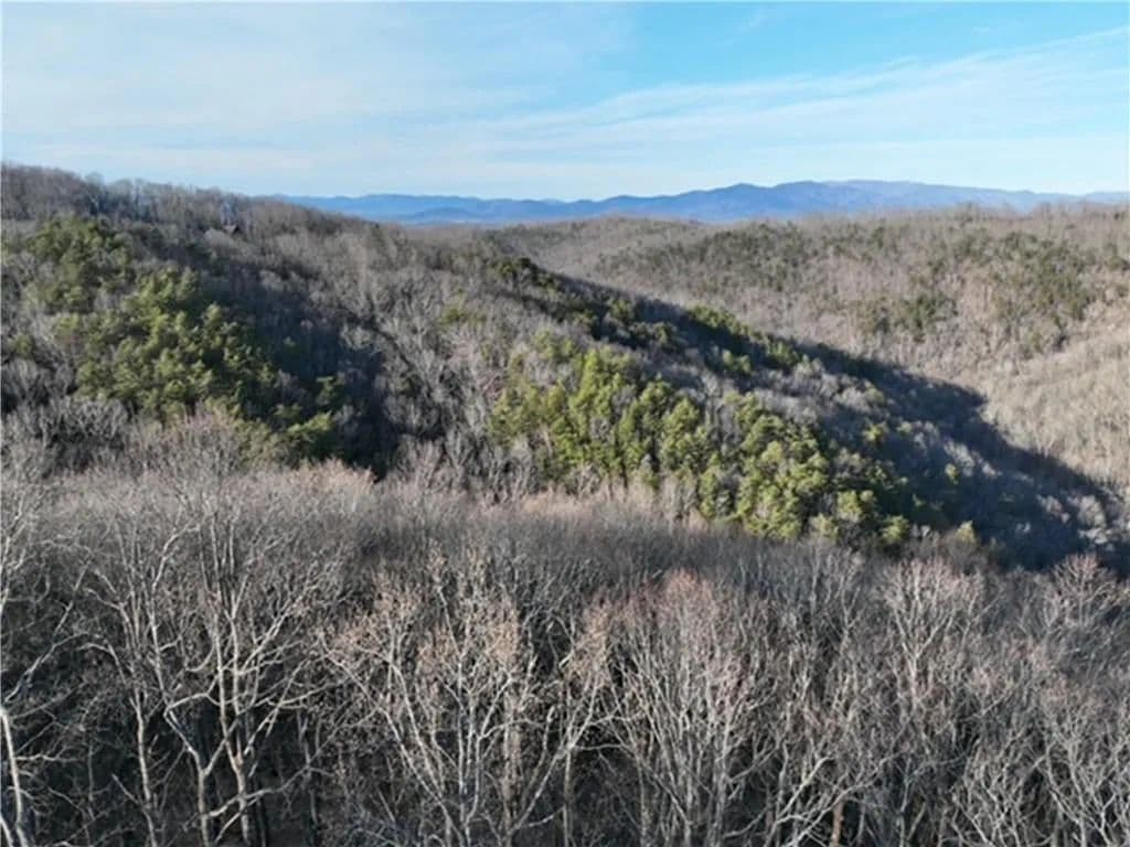 3.39 Acres of Land for Sale in Ellijay, GA - Ellijay, Georgia, 30536