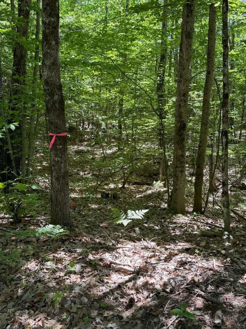 Vacant Land in Leeds - Leeds, Maine, 04263