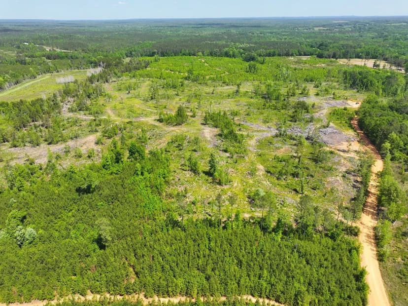 58 acres in Wilcox County