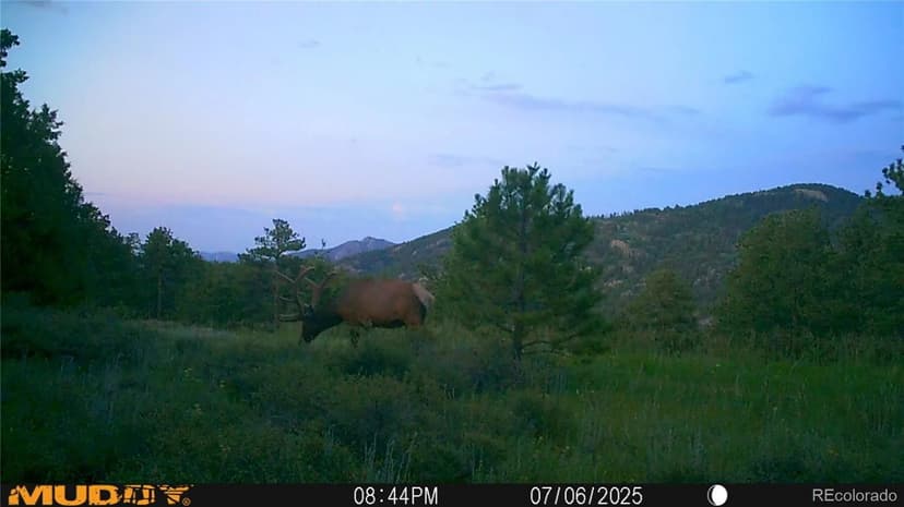 Property from 591599 Soul Shine Road - KW