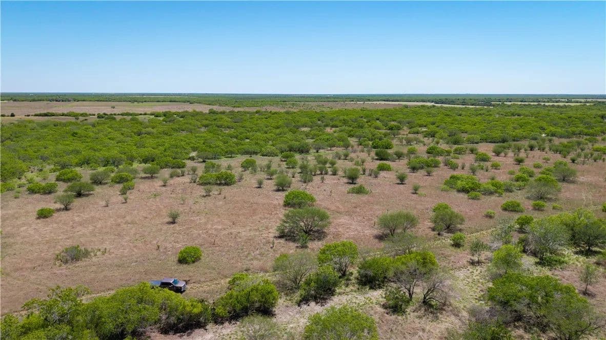 Vacant Land in Alice - Alice, Texas, 78332