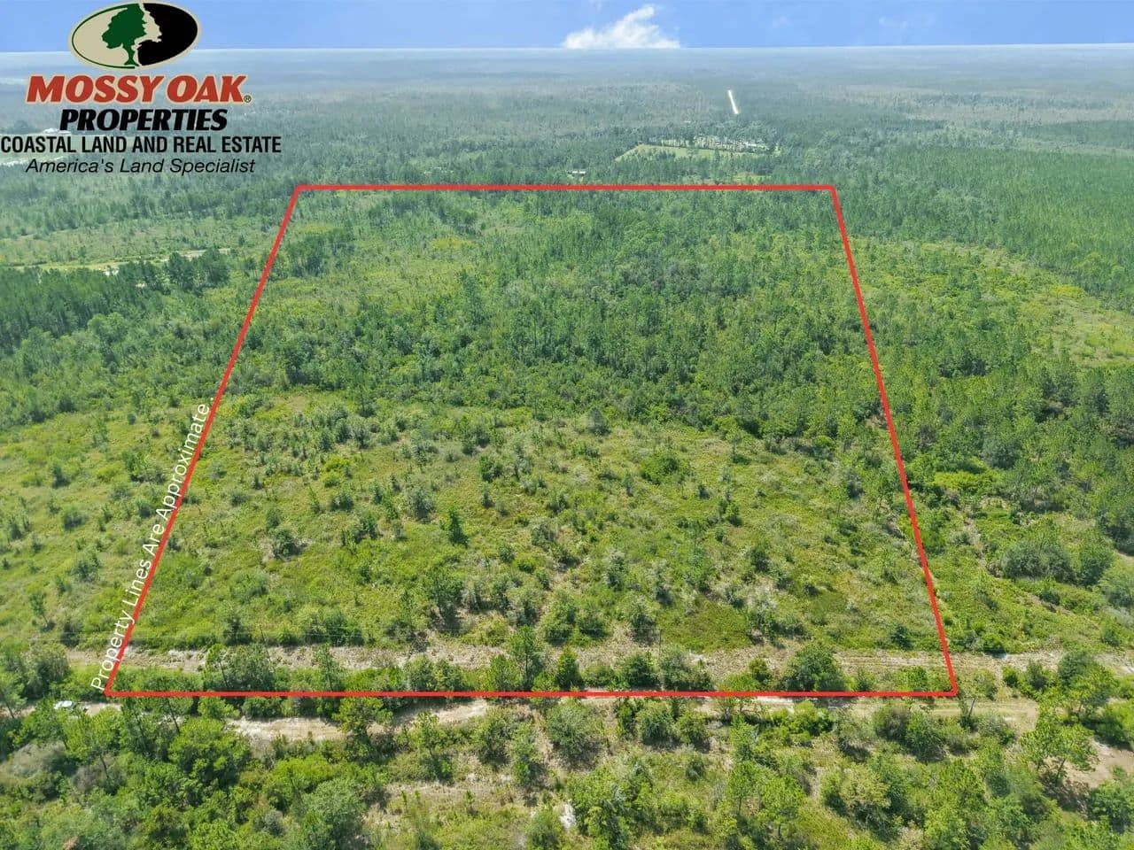 20 +/- Acres For Sale in Ware County - Waycross, Georgia, 31503