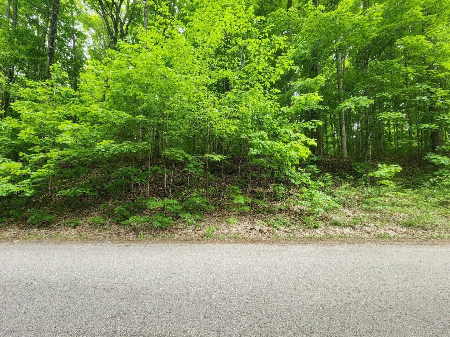Vacant Land in Gaylord - Gaylord, Michigan, 49735