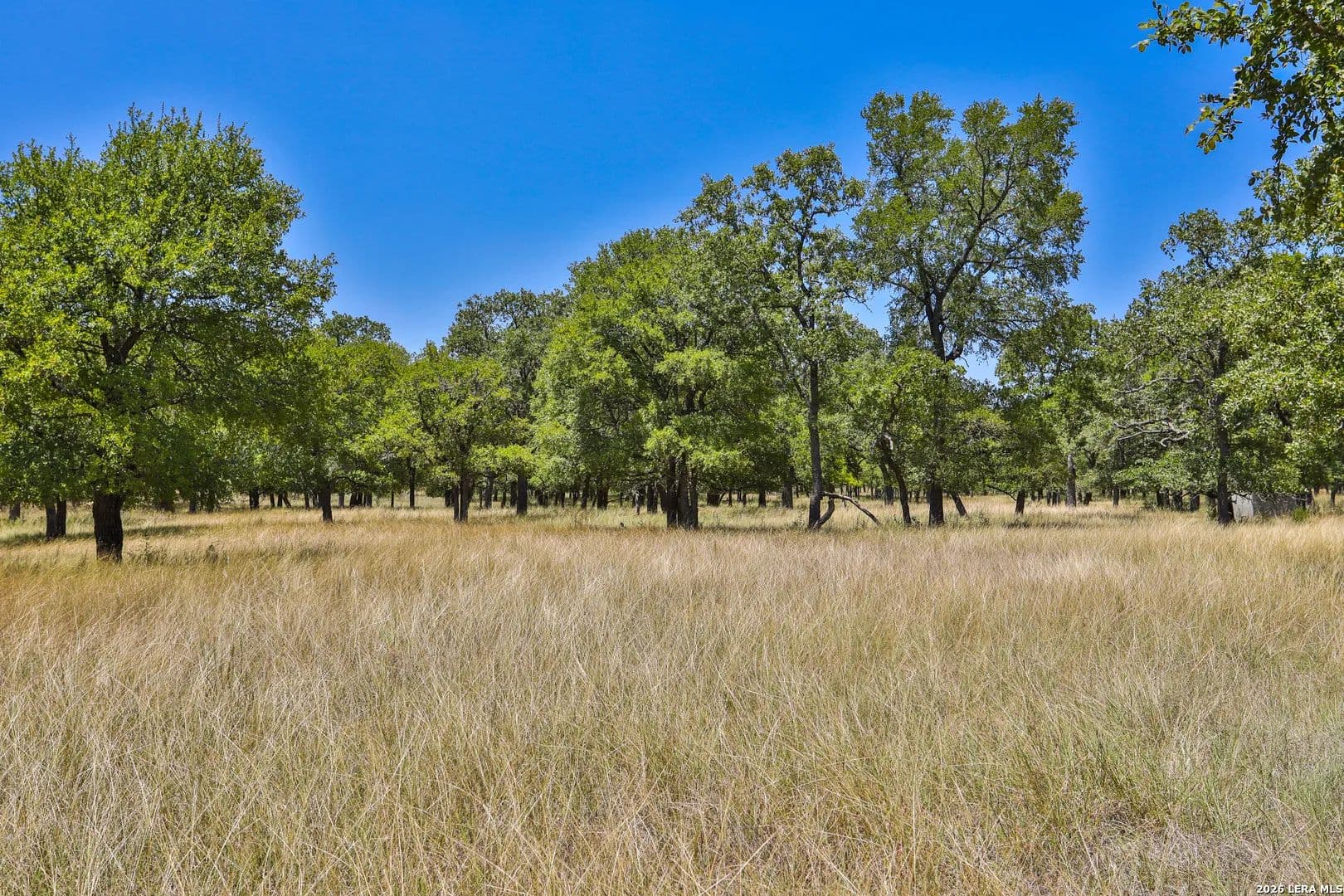 15.96 Acres of Land for Sale in Bulverde, TX - Bulverde, Texas, 78163
