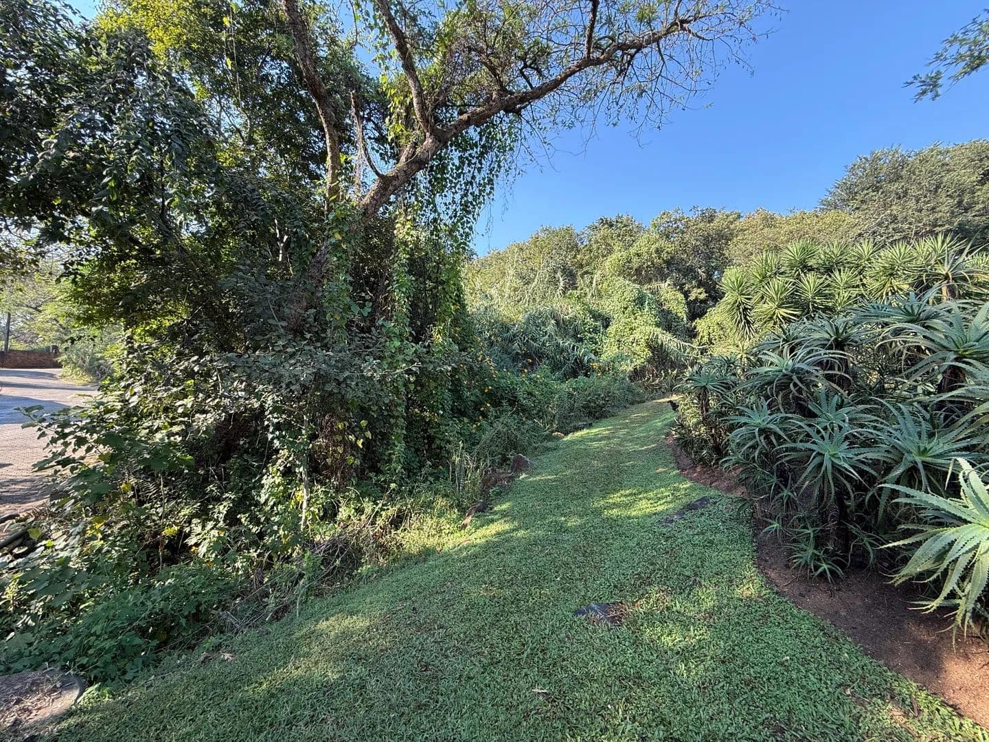 150 Acres of Land for Sale in Hazyview, Mpumalanga - land for sale