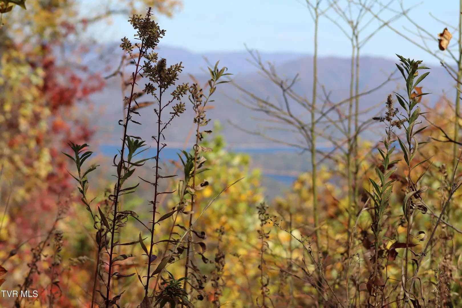 Lots & Land-Other in Butler - Butler, Tennessee, 37640