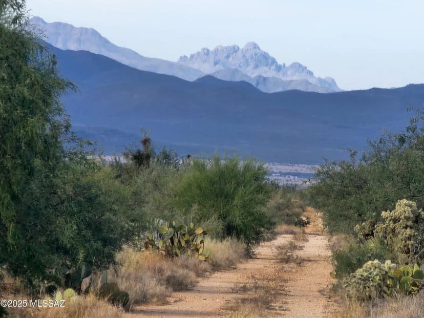 Vacant Land in Tucson