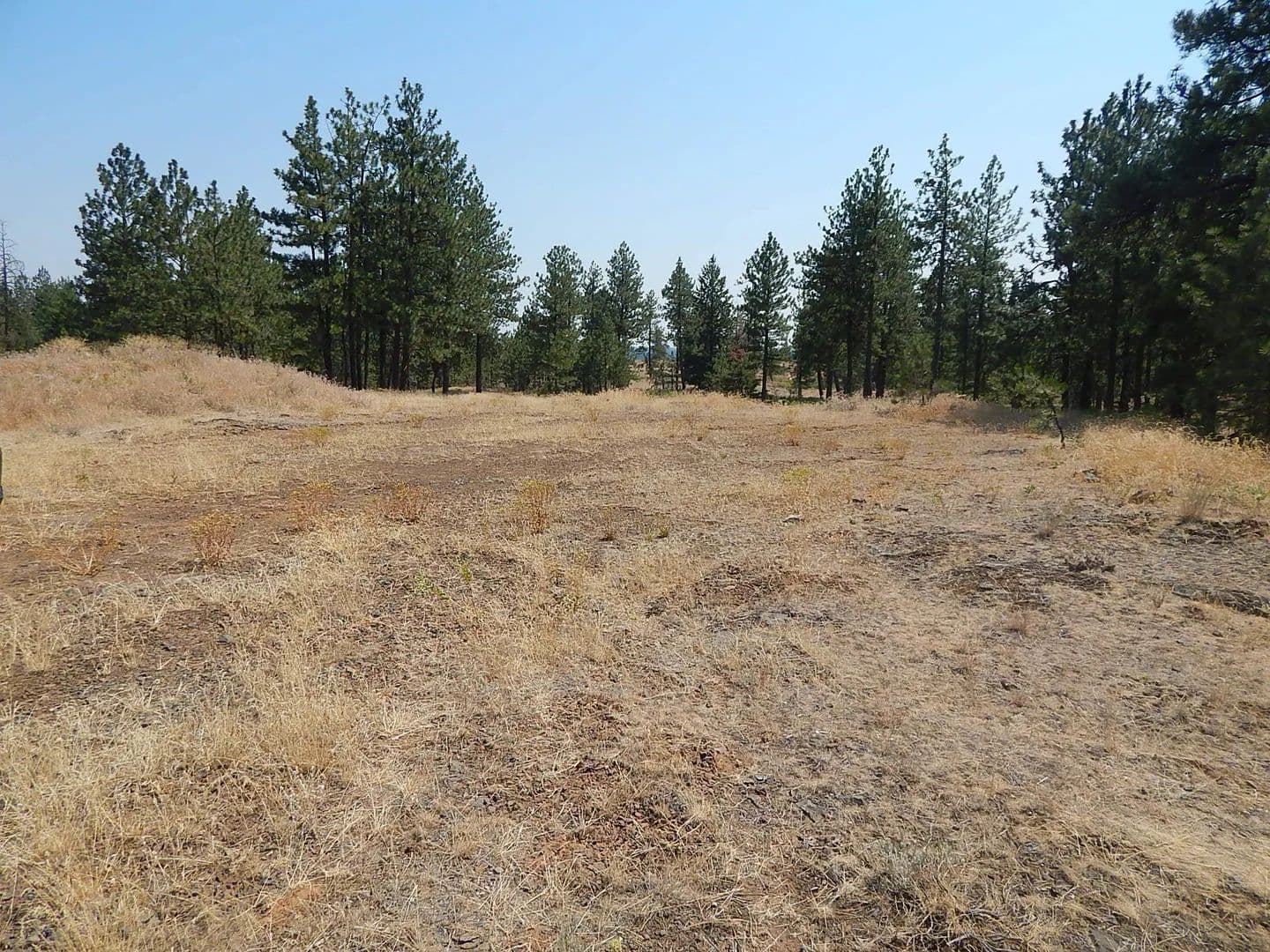 Vacant Land in Reardan - Reardan, Washington, 99029