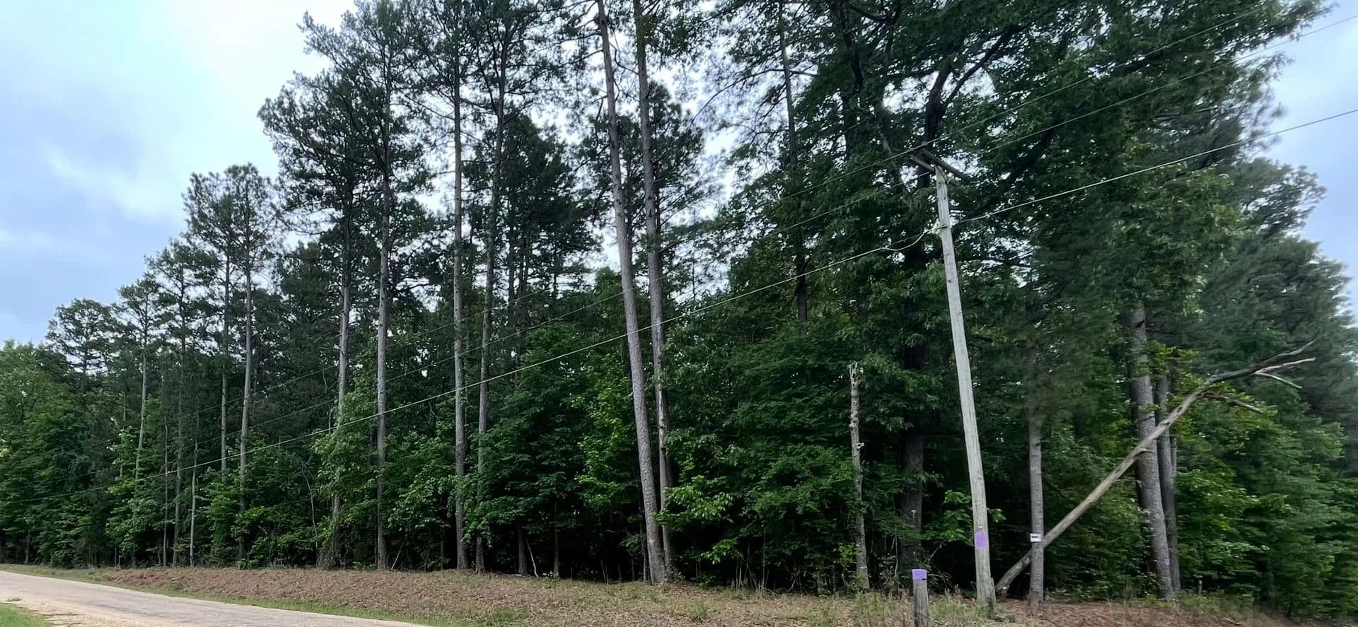 Vacant Land in Camden - Camden, Arkansas, 71701