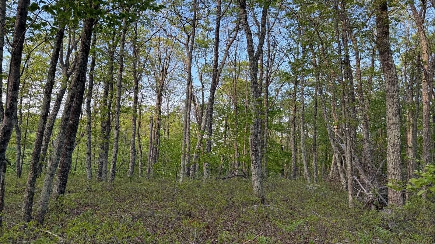 Vacant Land (0-10 Acres) in Hawley - Hawley, Pennsylvania, 18428