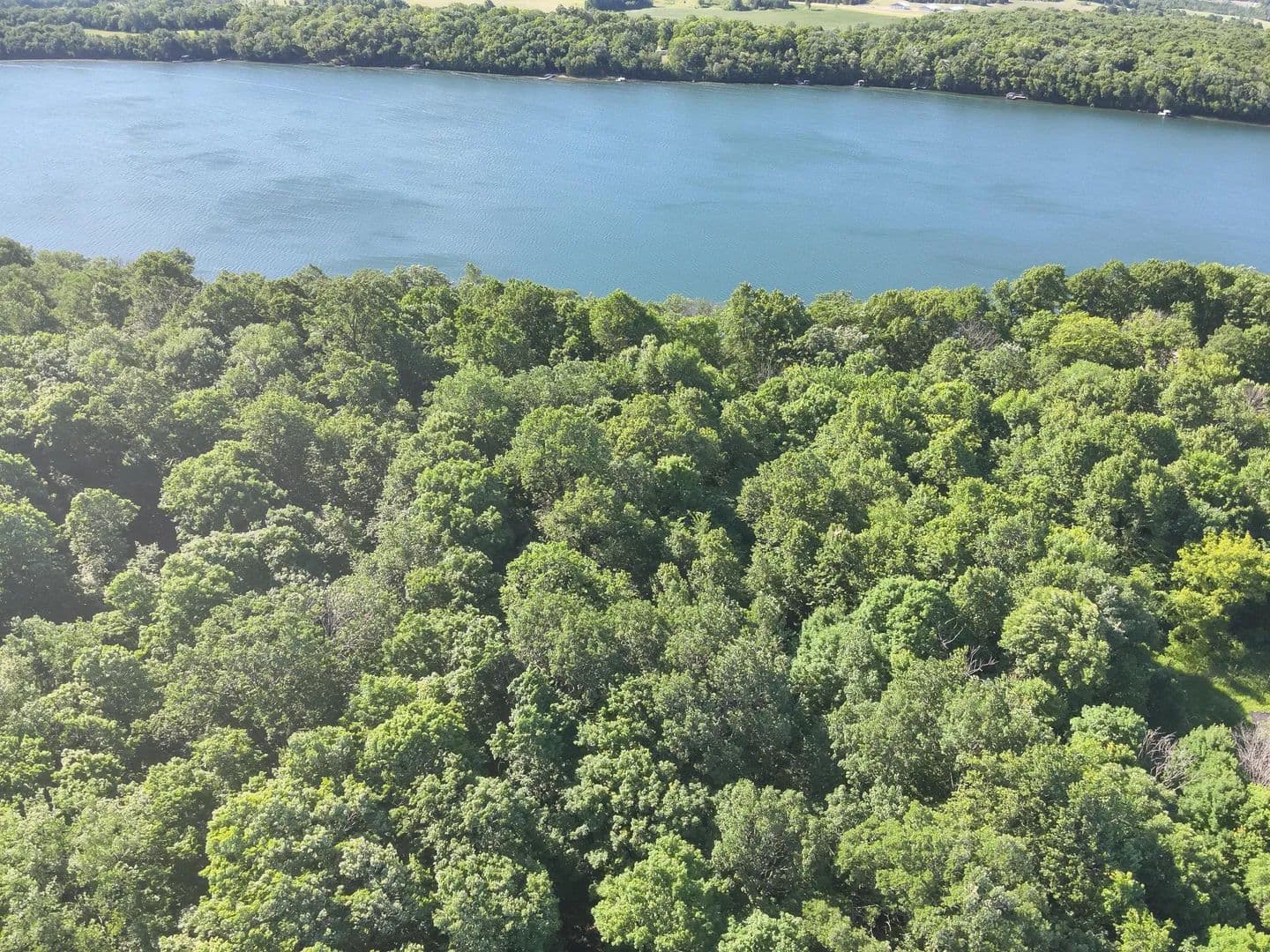 4.33 Acres of Land for Sale in Dent, Minnesota - Dent, Minnesota, 56528