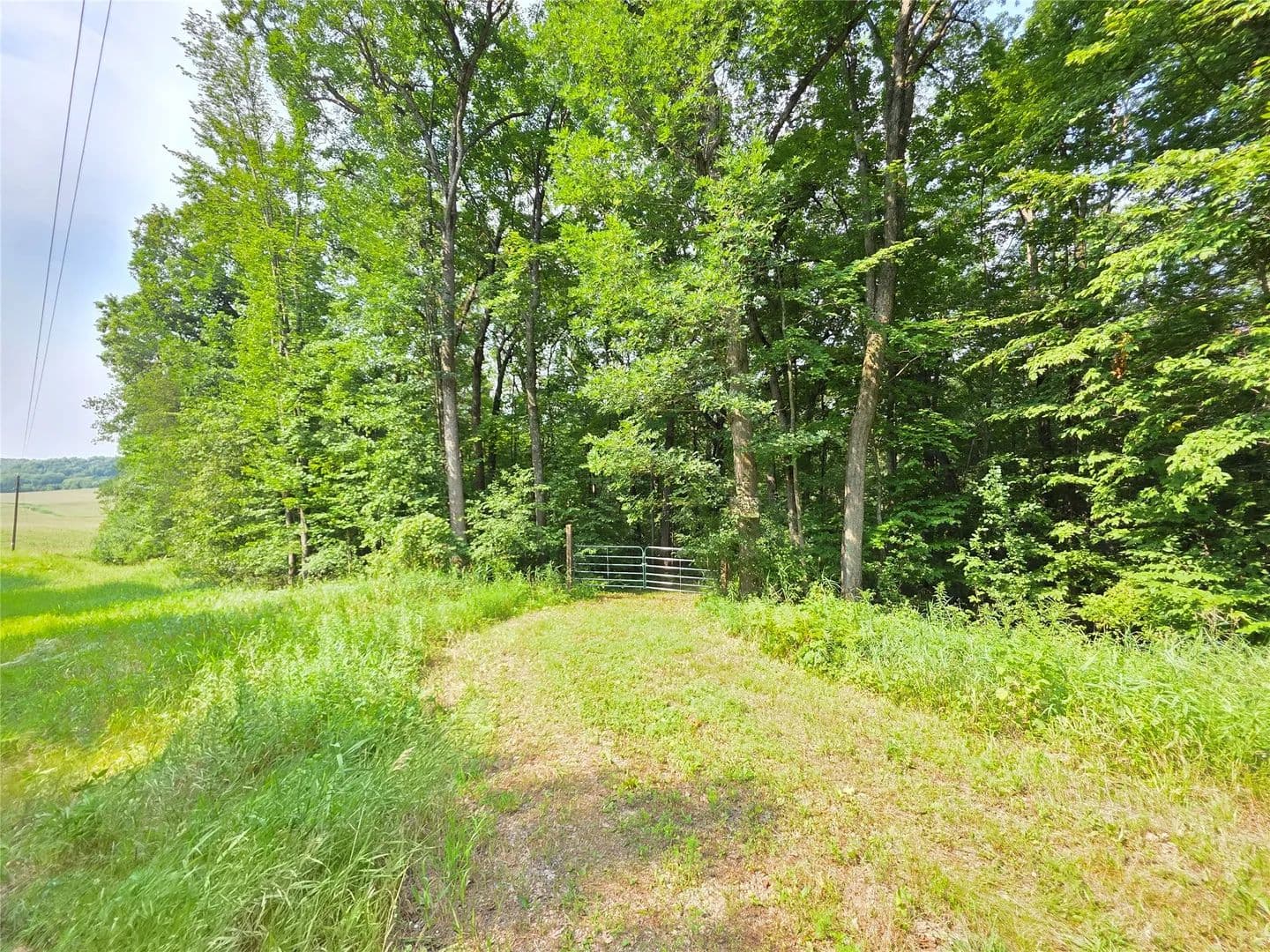 Vacant Land in Colfax - Colfax, Wisconsin, 54730