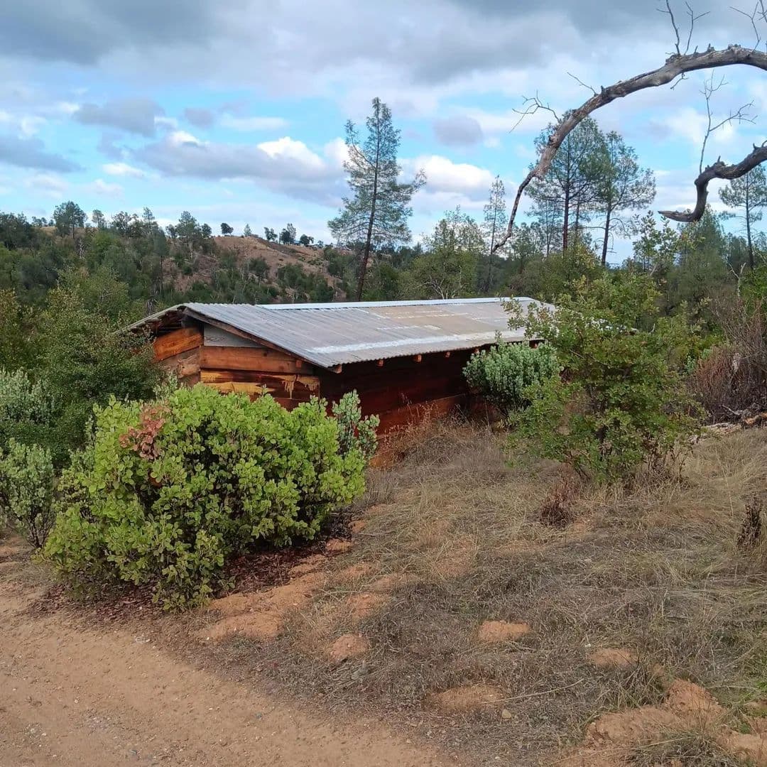 Property from 17795 Duck Canyon Rd - KW - Igo, California, 96047