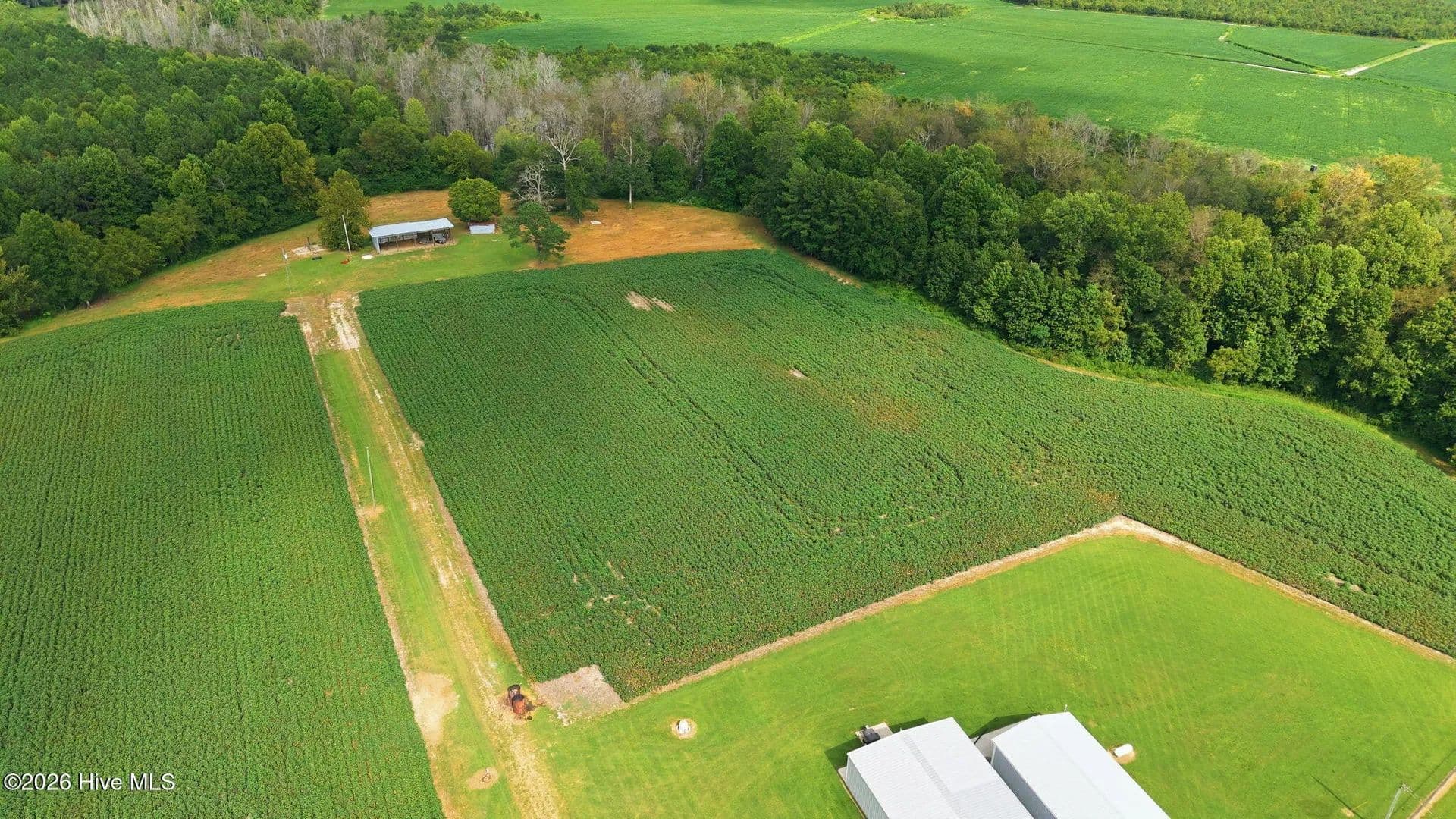60.4 Acres of Land for Sale in Hobgood, NC - Hobgood, North Carolina, 27843