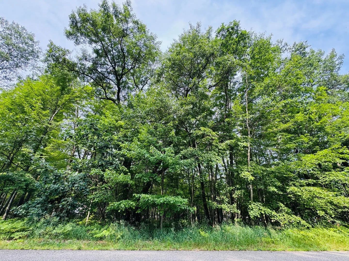 Lots & Land-Other in Houghton Lake - Houghton Lake, Michigan, 48629