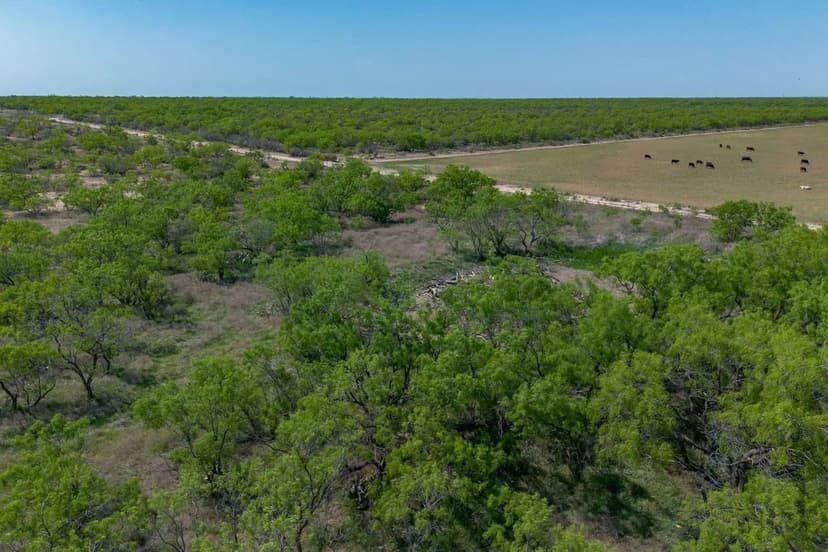 Recreational Ranch with Utilities Available - 102.8 Acres in Concho County, Texas