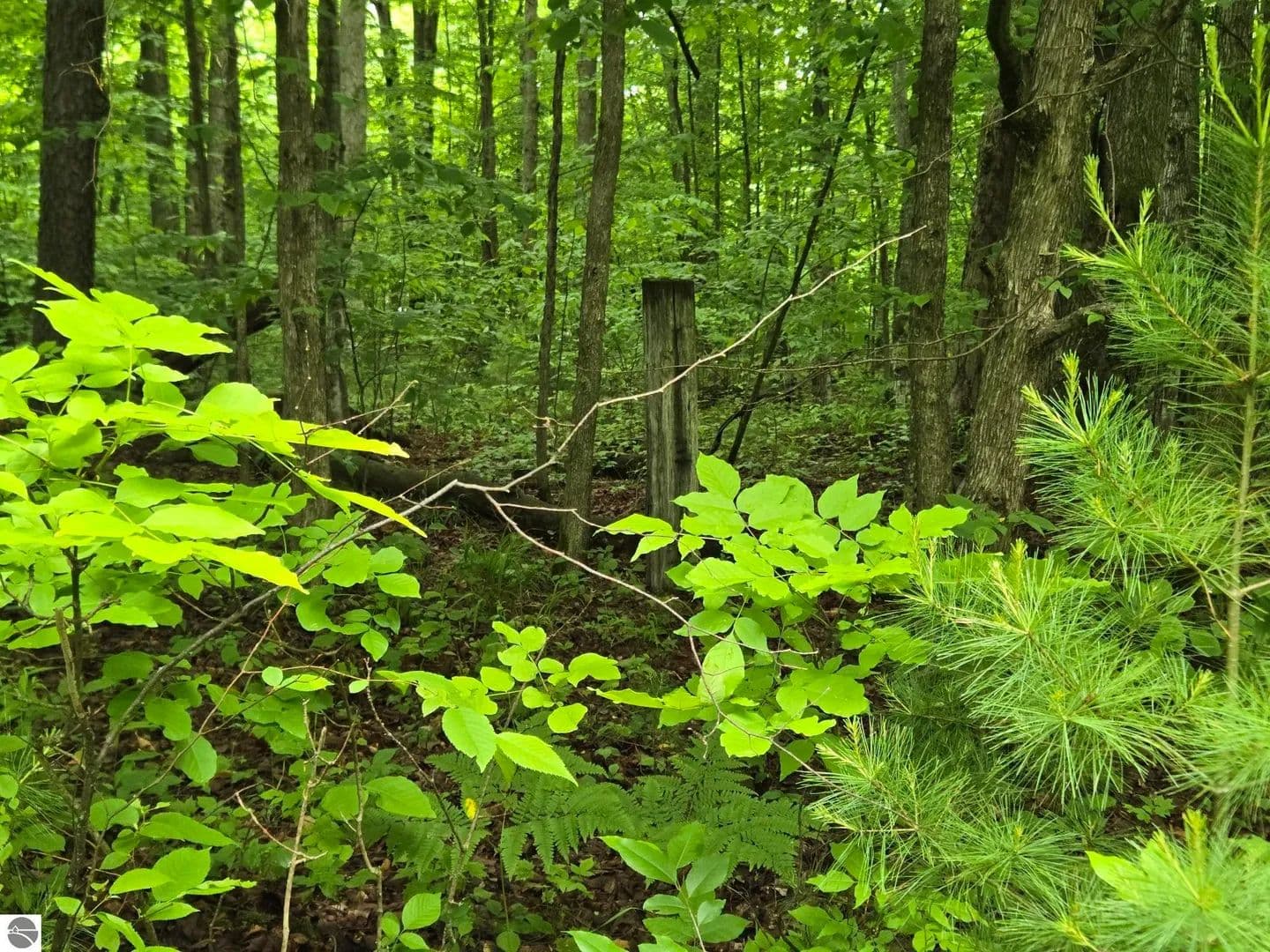 5 Acres of Land for Sale in Benzonia, MI - Benzonia, Michigan, 49616