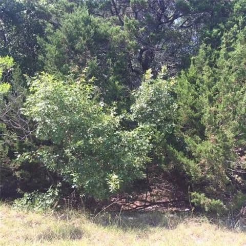 Land for Sale in Granbury, 1017 Indian Drive - land for sale