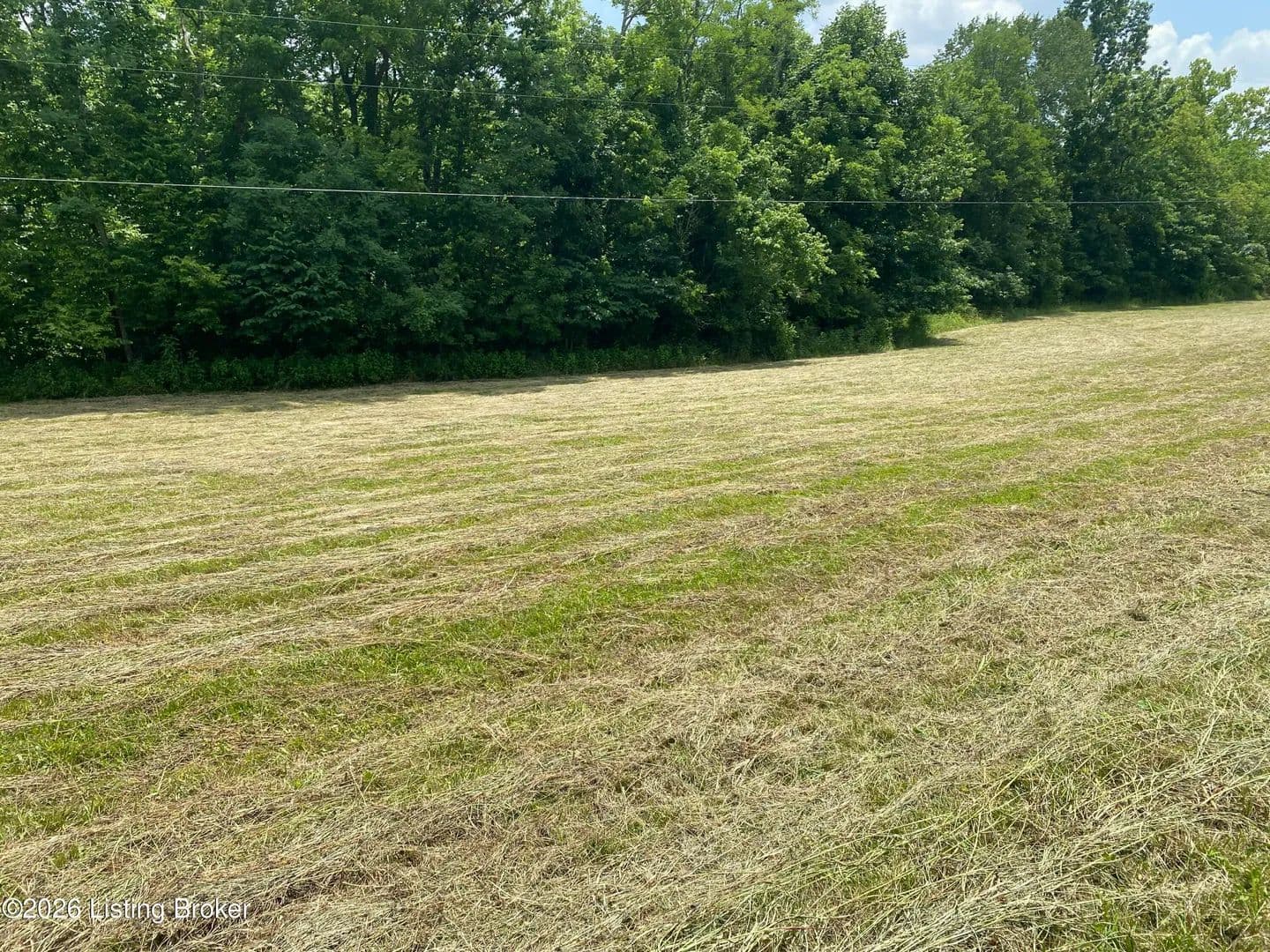 Vacant Land in Taylorsville - Taylorsville, Kentucky, 40071