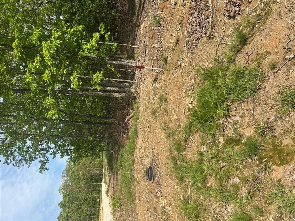 3.03 Acres of Land for Sale in Salem, Missouri - Salem, Missouri, 65560