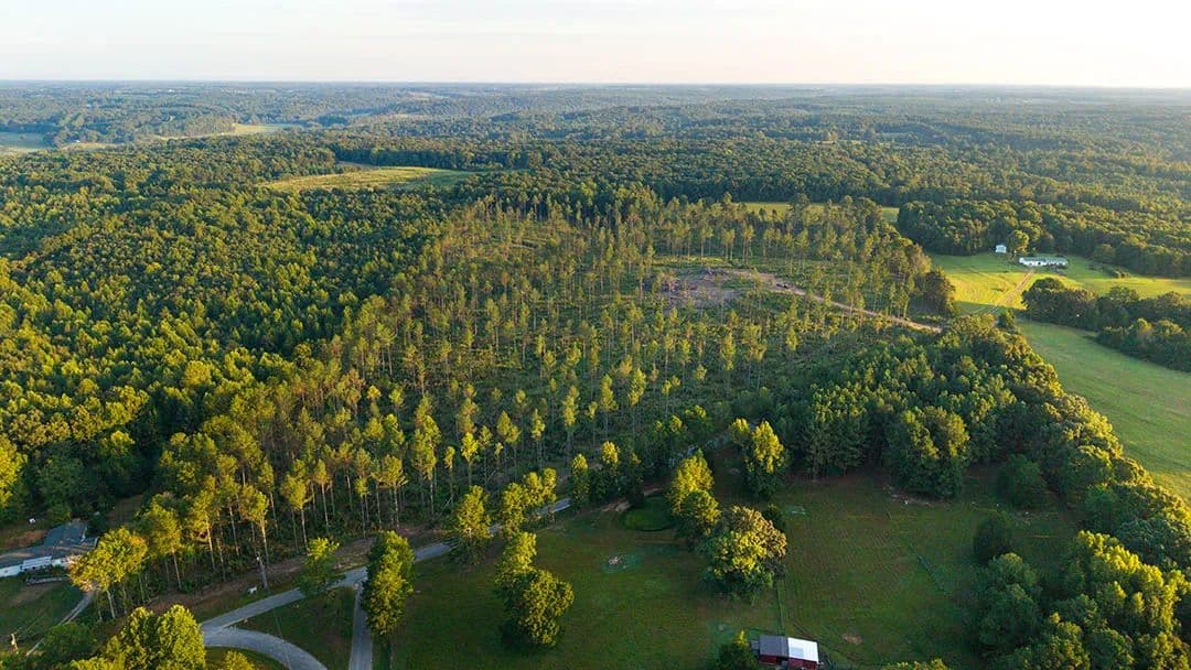 38 Acres in Wayne County, TN  - Cypress Inn, Tennessee, 38452