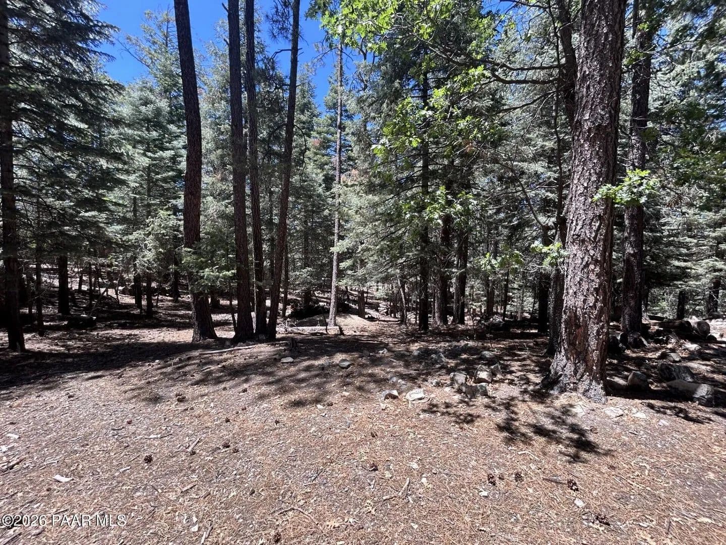 Property from 2475 E Summit Avenue - KW - Prescott, Arizona, 86303