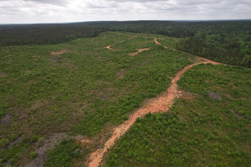 200 Acres in Attala County, MS 