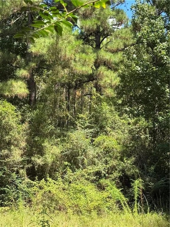 Lots & Land-Other in Lena - Lena, Louisiana, 71447