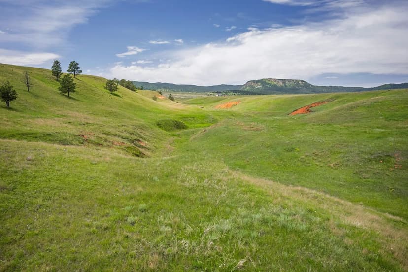 Red Hawk Acreage