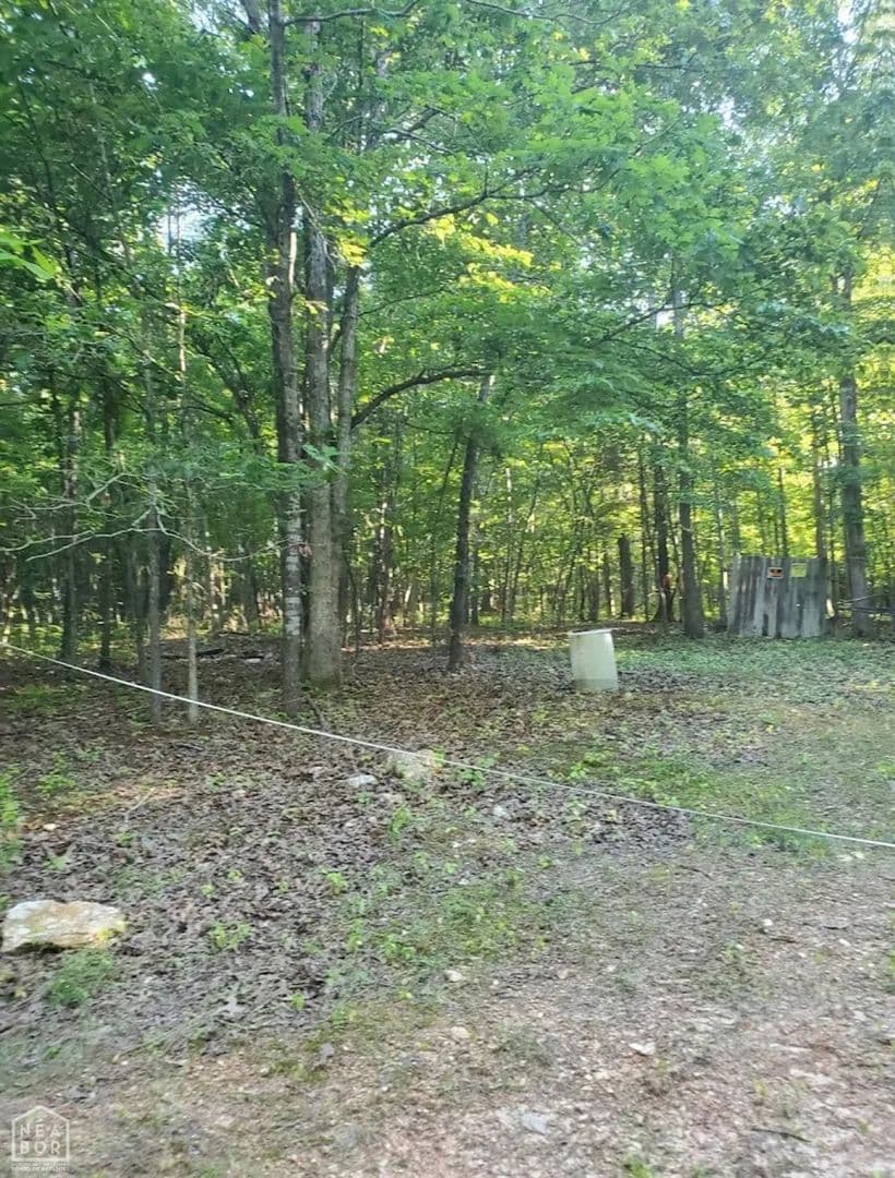 Property from 0 Shady Tree - KW - Mammoth Springs, Arkansas, 72554