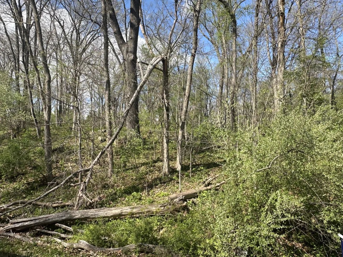 Vacant Land in Putnam - Putnam, Illinois, 61560