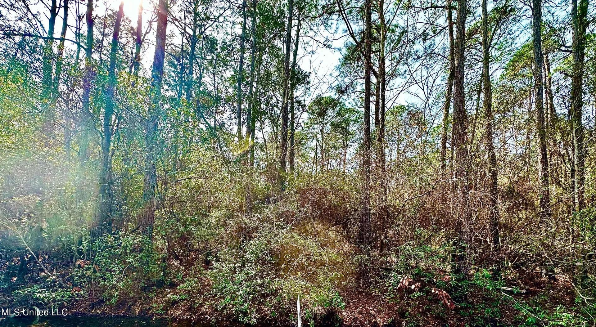 Vacant Land in Ocean Springs - Ocean Springs, Mississippi, 39564
