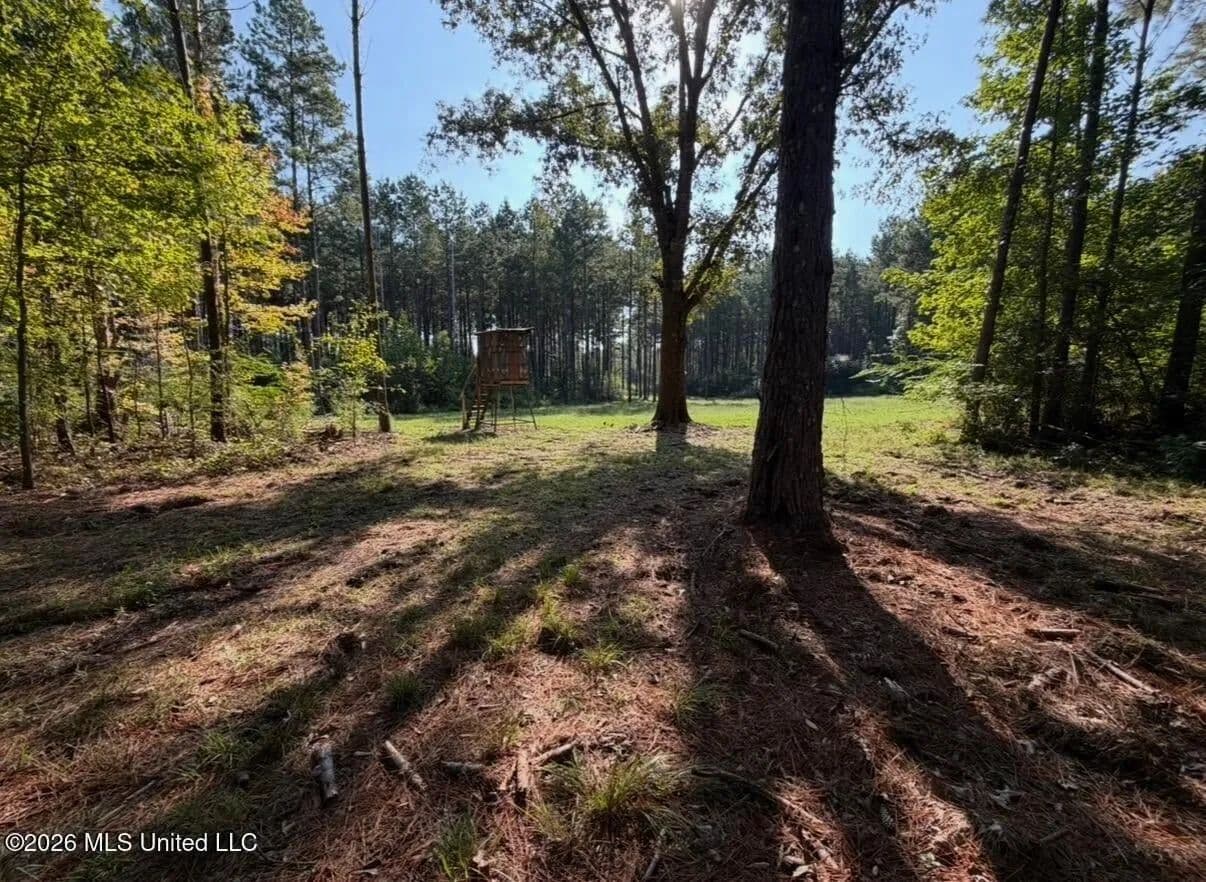 76 Acres of Hunting Land in Raleigh, MS, Smith County - Raleigh, Mississippi, 39153