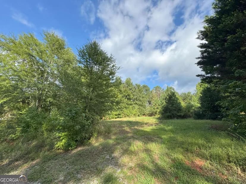 Vacant Land in Danielsville