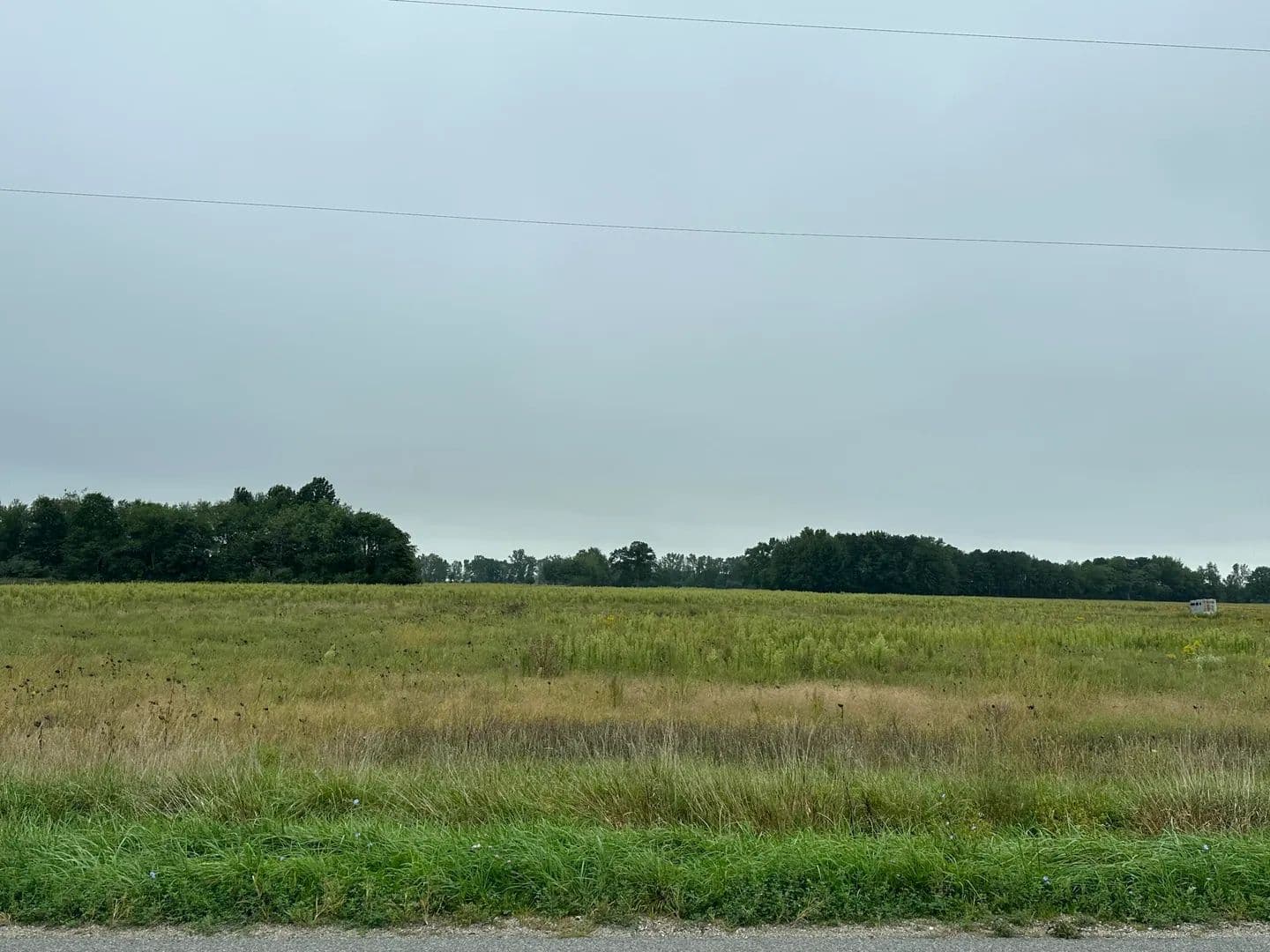 Vacant Land in Zeeland - Zeeland, Michigan, 49464